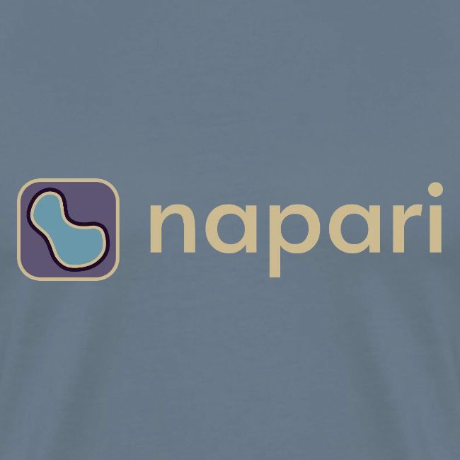 napari merch (lighter design)