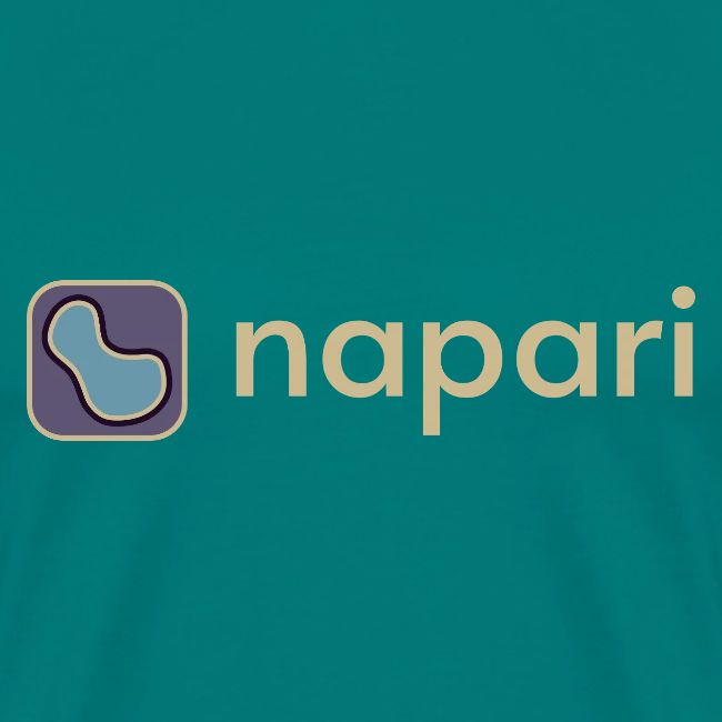 napari merch (lighter design)