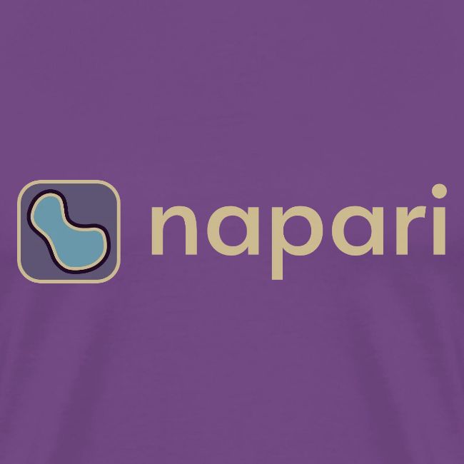 napari merch (lighter design)