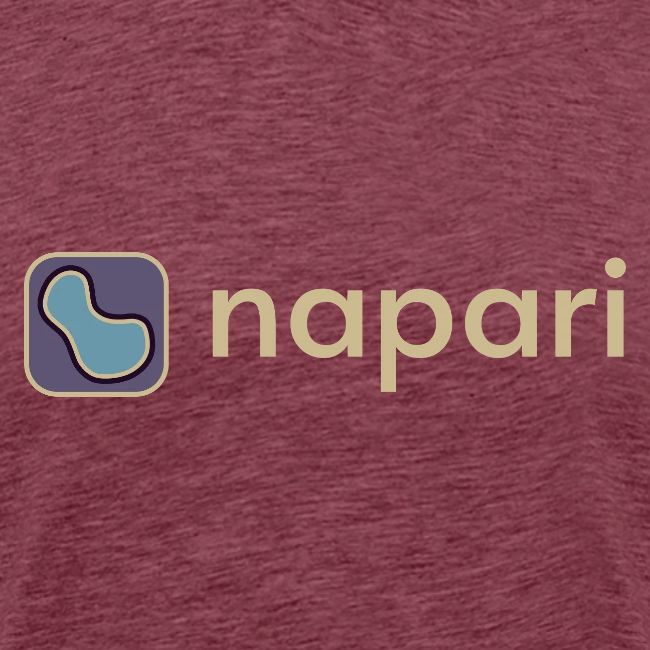 napari merch (lighter design)