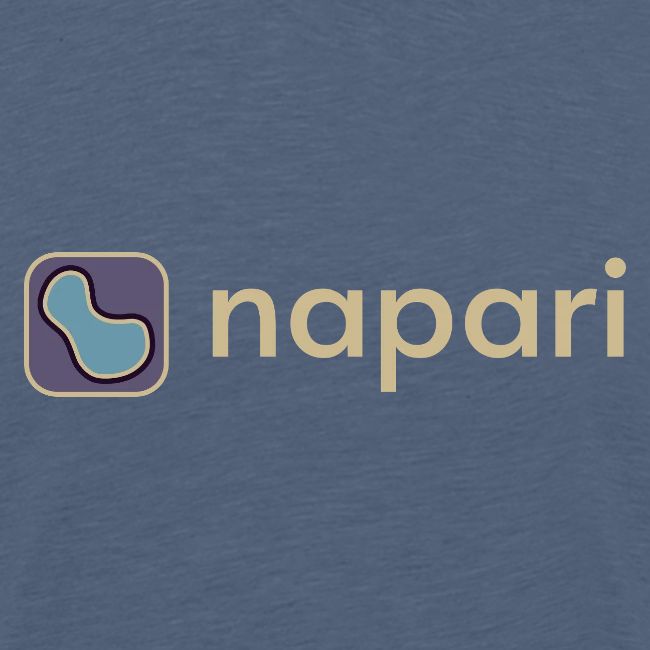 napari merch (lighter design)