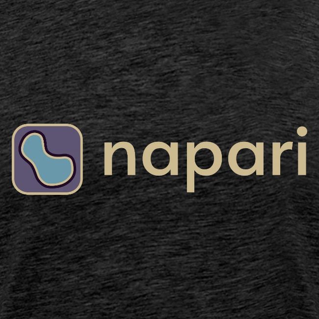 napari merch (lighter design)