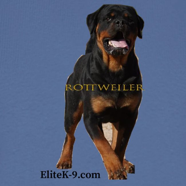 Rottweiler (Yago) 2