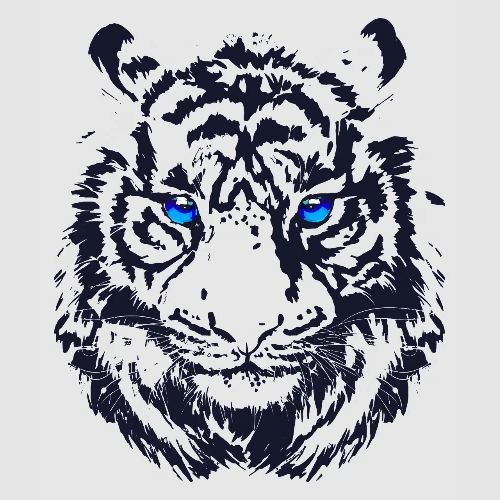 Tiger Head - Tiger Artwork - Wildlife Big Cats