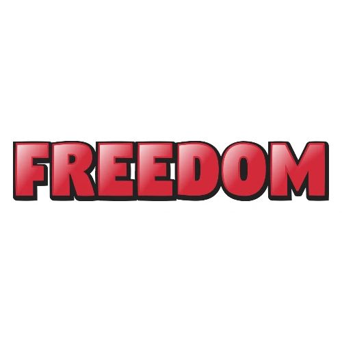 Freedom Bold 3D Word Art Design - Men's Premium T-Shirt