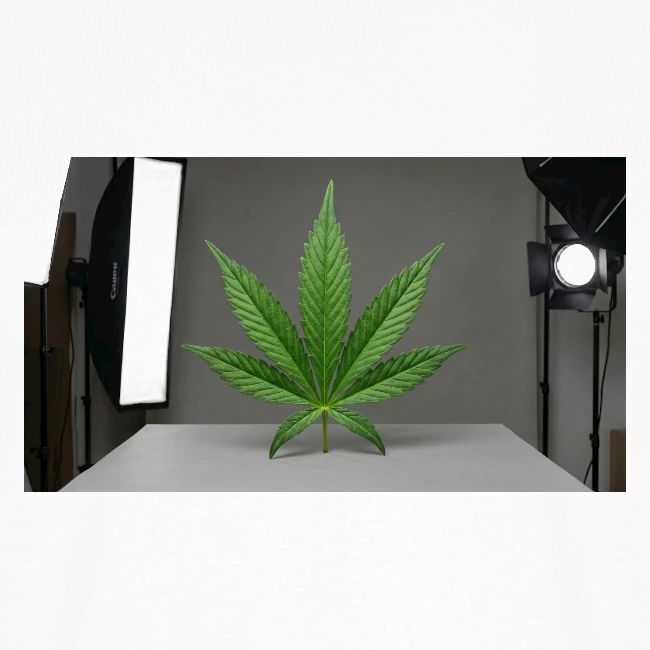 ***CANNABIS LEAF TEE***