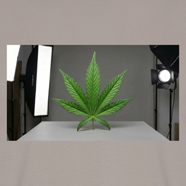 ***CANNABIS LEAF TEE***