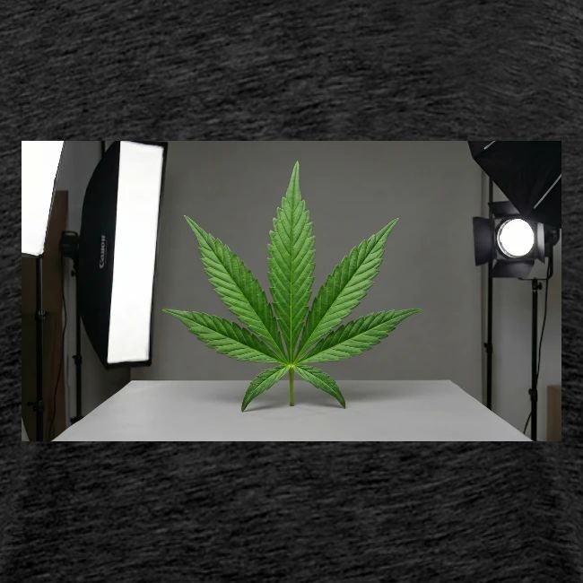 ***CANNABIS LEAF TEE***