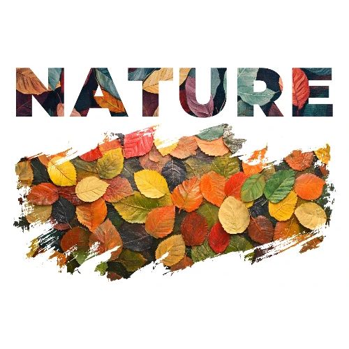Brushed by Nature - Men's Premium T-Shirt