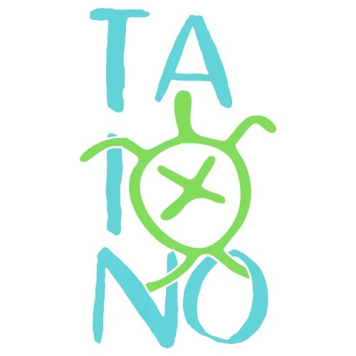 Taino Turtle