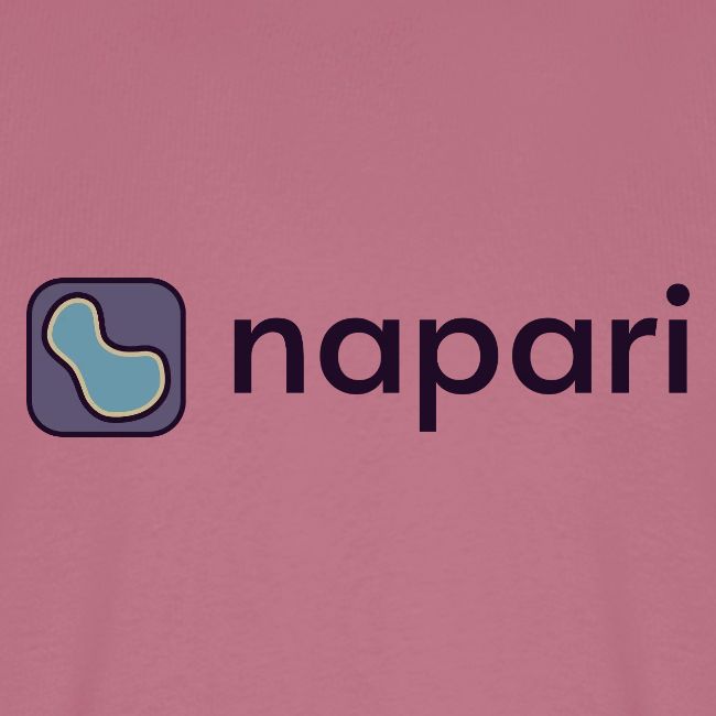 napari merch