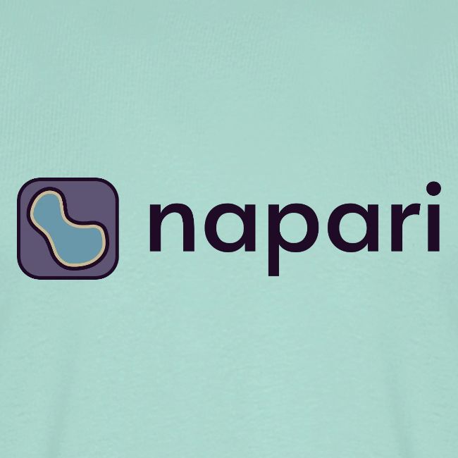 napari merch
