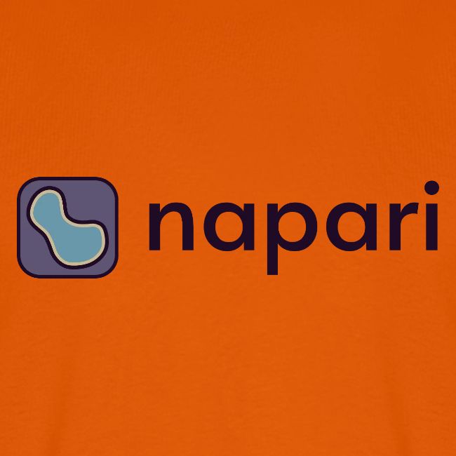 napari merch