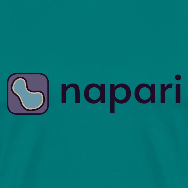 napari merch