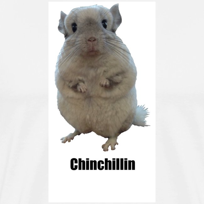 Chinchillin 1 png