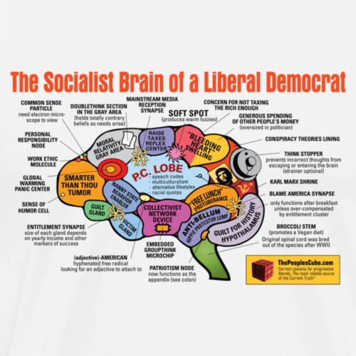 Brain of a Liberal Democrat - Men's Premium T-Shirt
