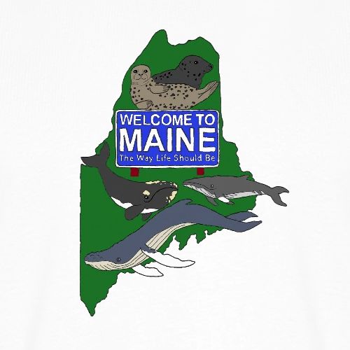 Color Welcome (Front) MMoME.org (Back) - Men's Premium T-Shirt