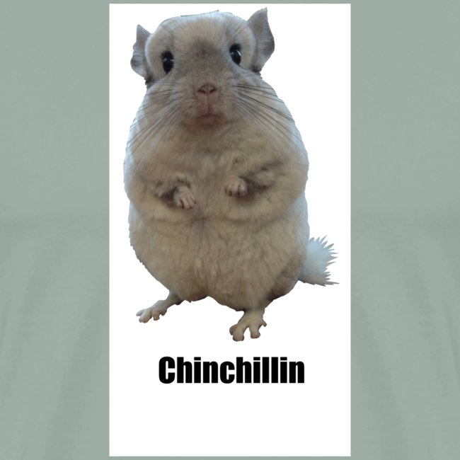 Chinchillin 1 png