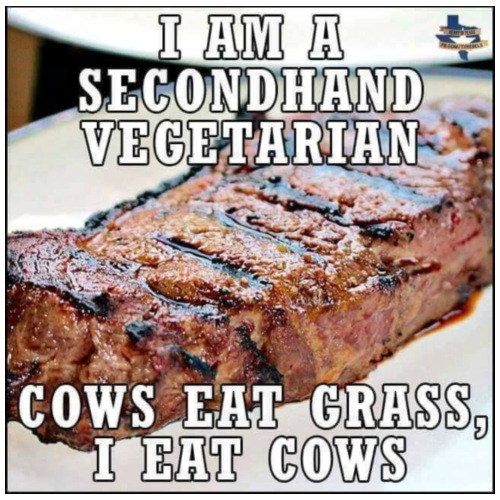 Second hand vegetarian - Men's Premium T-Shirt