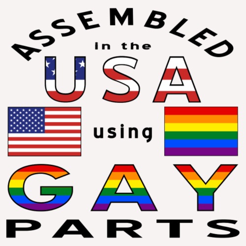 Assembled USA Gay Parts - Men's Premium T-Shirt