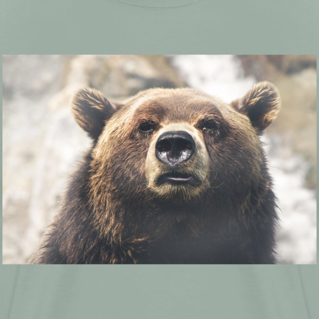 bear copy jpg