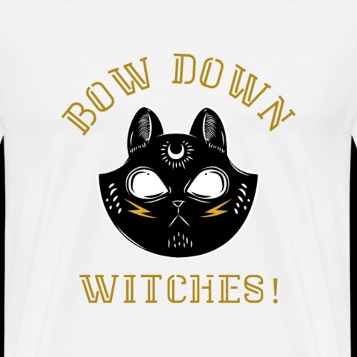Bow Down Witches | Wicked Black Cat - Men's Premium T-Shirt
