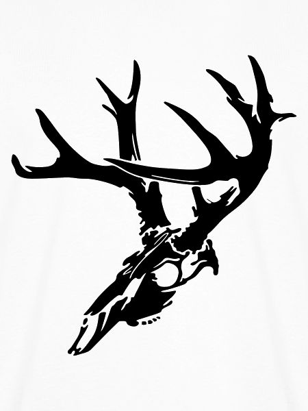 Deer Skull