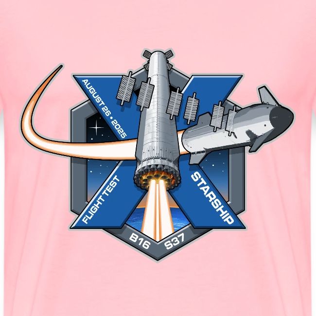 Starship Flight 10 Patch