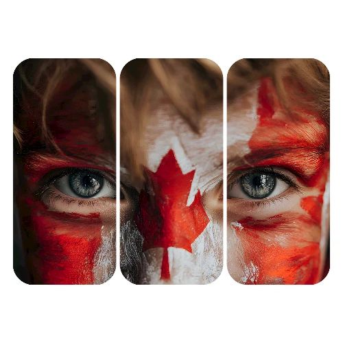 Canada: Maple Leaf Gaze - Men's Premium T-Shirt