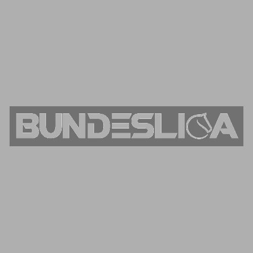Lichess Bundesliga - Men's Premium T-Shirt
