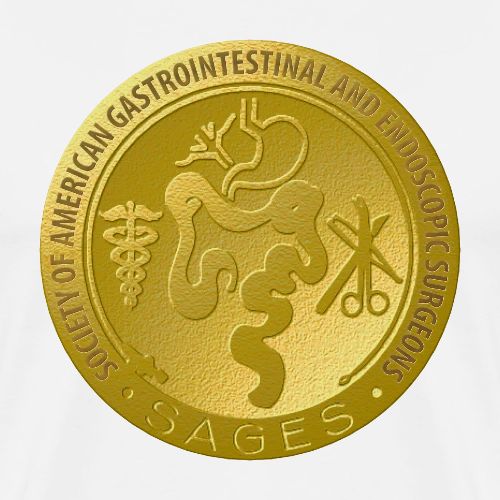 SAGES Gold Medal Logo - Men's Premium T-Shirt