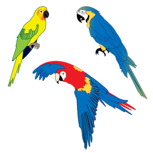 Tropical Parrots - Men's Premium T-Shirt