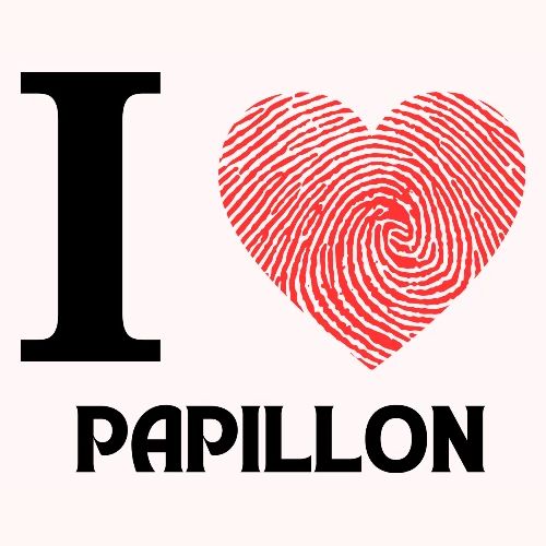 i love papillon - Men's Premium T-Shirt