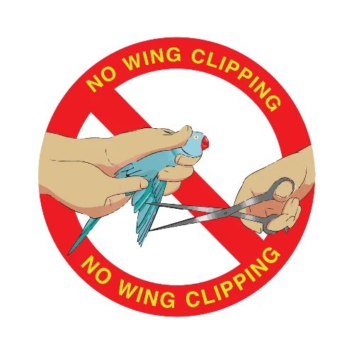 NoWingClipping PNG Logo - Men's Premium T-Shirt