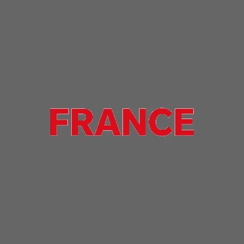 FRANCE TEE - Men's Premium T-Shirt