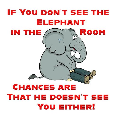 Elephant in the Room Meme - Men's Premium T-Shirt