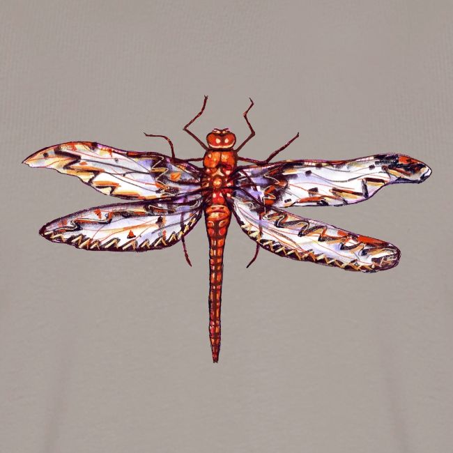Dragonfly red