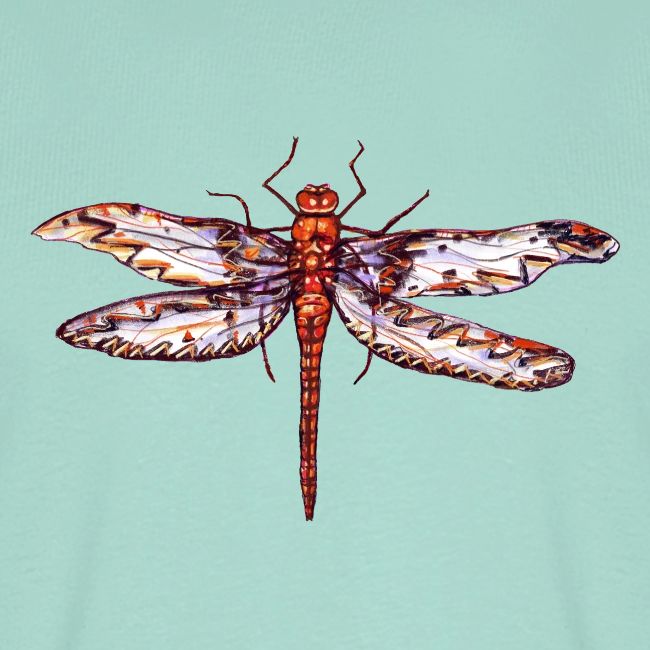 Dragonfly red