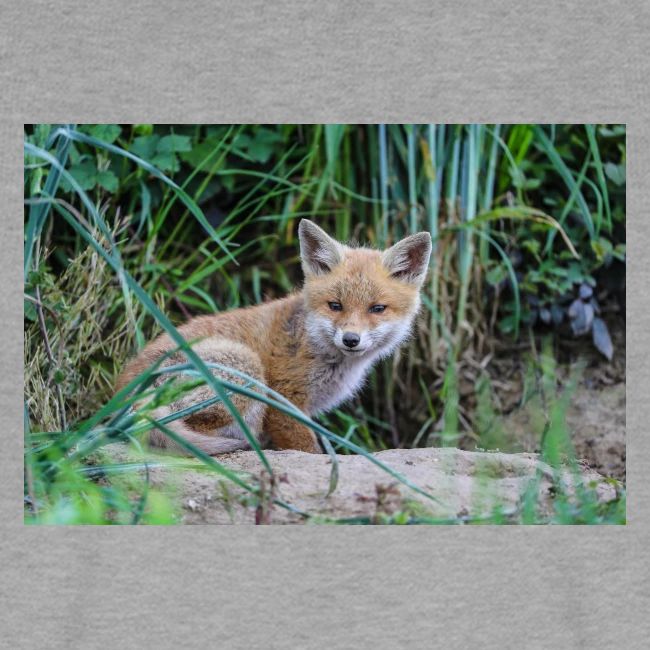 fox