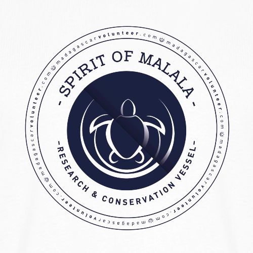 MRCI SOM Roundie - Men's Premium T-Shirt