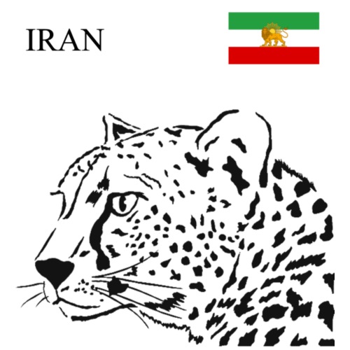 Iran, Sport - Men's Premium T-Shirt
