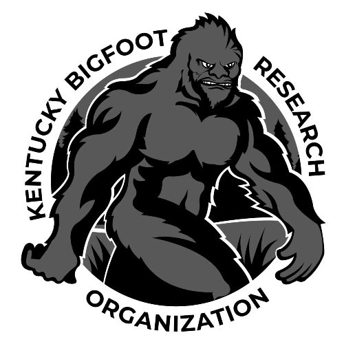 KBRO Official Logo - Black Lettering - Men's Premium T-Shirt