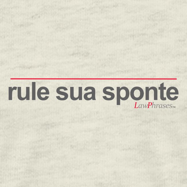 rule sua sponte