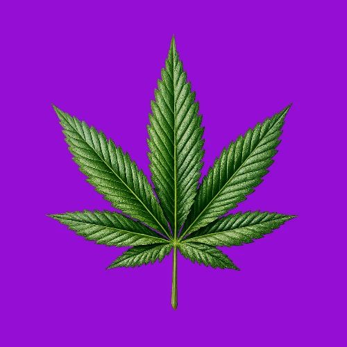 Cannabis Leaf