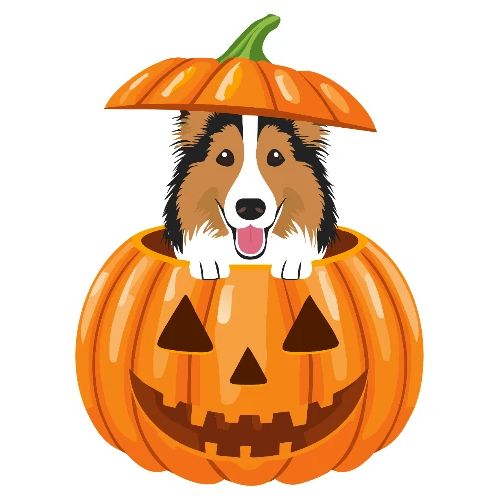 Sheltie Pumpkin - Men's Premium T-Shirt