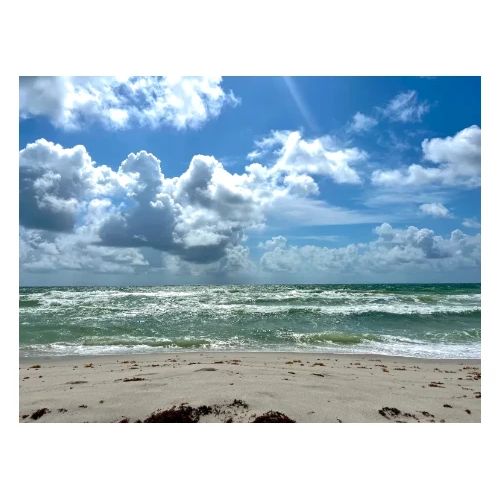 Delray Beach - Men's Premium T-Shirt
