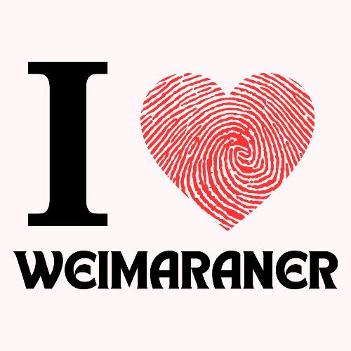 i love weimaraner - Men's Premium T-Shirt