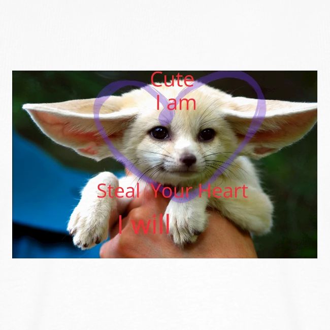 baby fox
