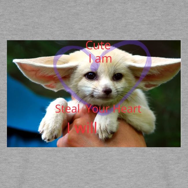 baby fox
