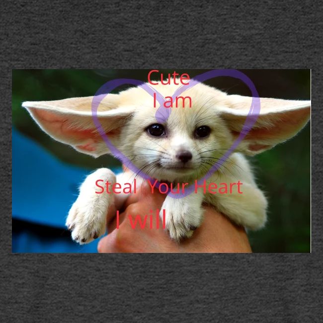 baby fox